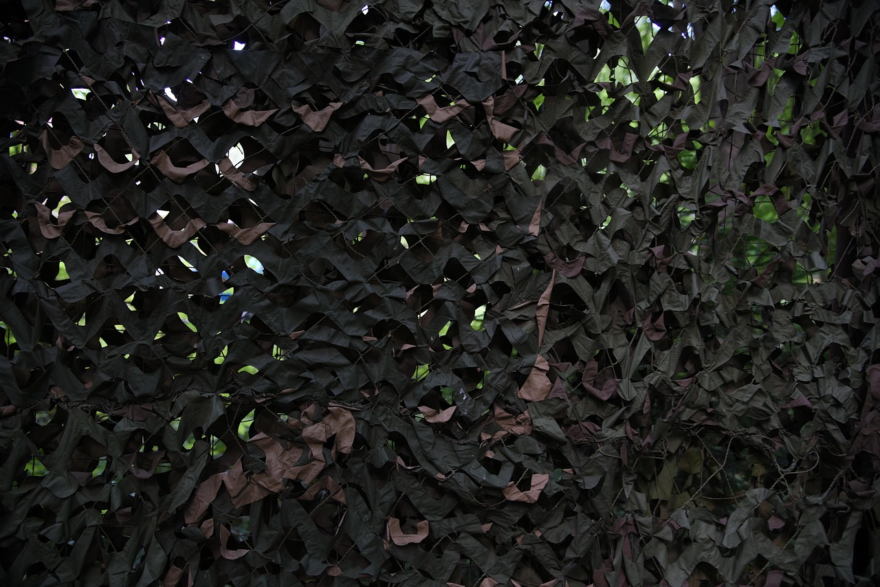 拳皇97OL：湖南注册代理记账多少钱