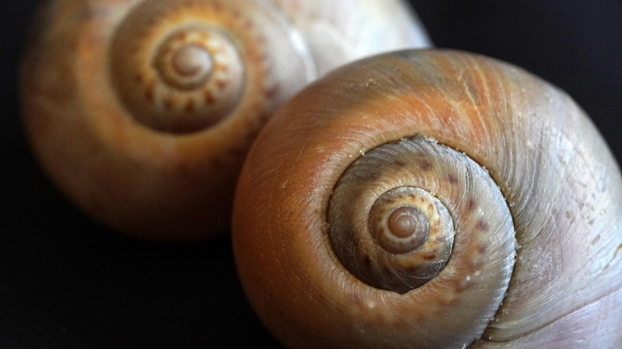 天启ip实名账号：从挖掘信息到掌握信息：实名制账号的故事