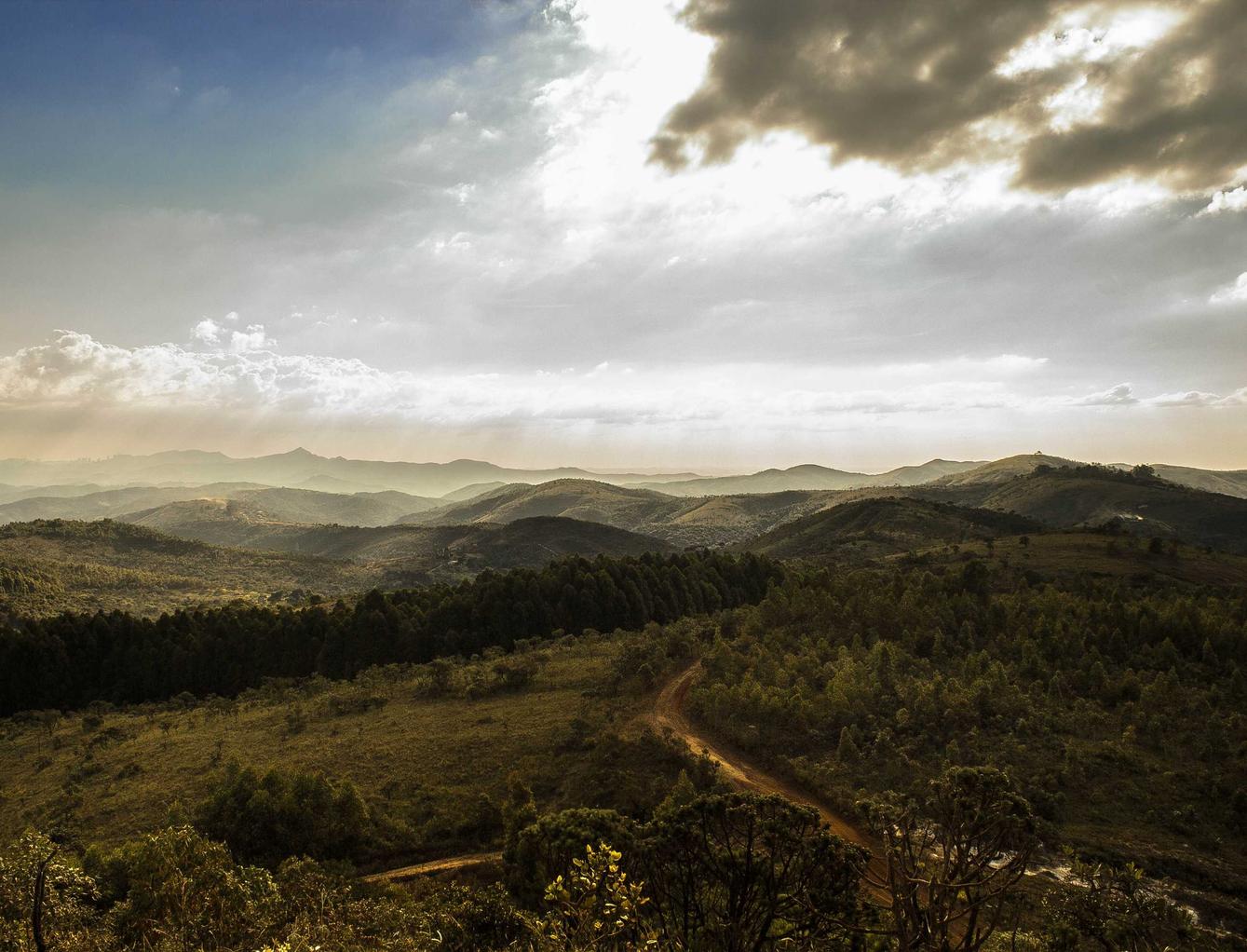 三网手机卡已实名- 随州篮球购买平台
