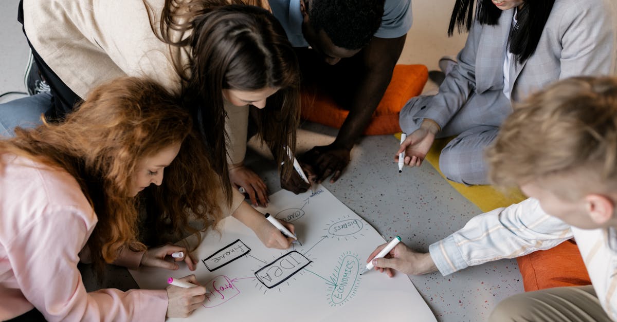 张店宠物购买平台