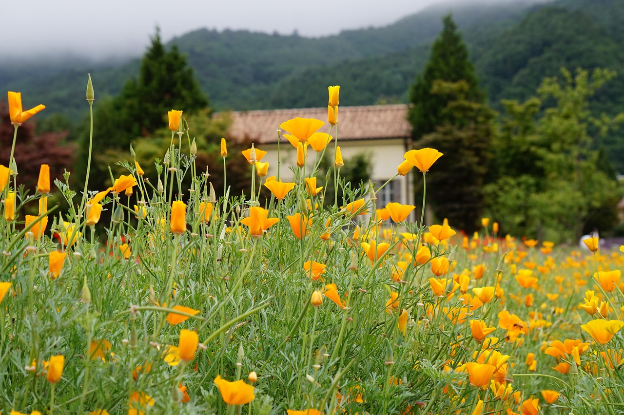 分发实名账号:郑州校园兼职代理平台