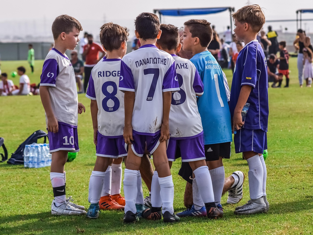 沃派星燃卡实名账号：XBOX详情下载教程的APP