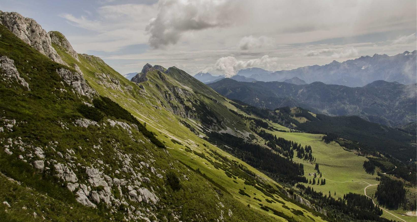 猫之宿约者:绿达园艺注册代理人沙县区