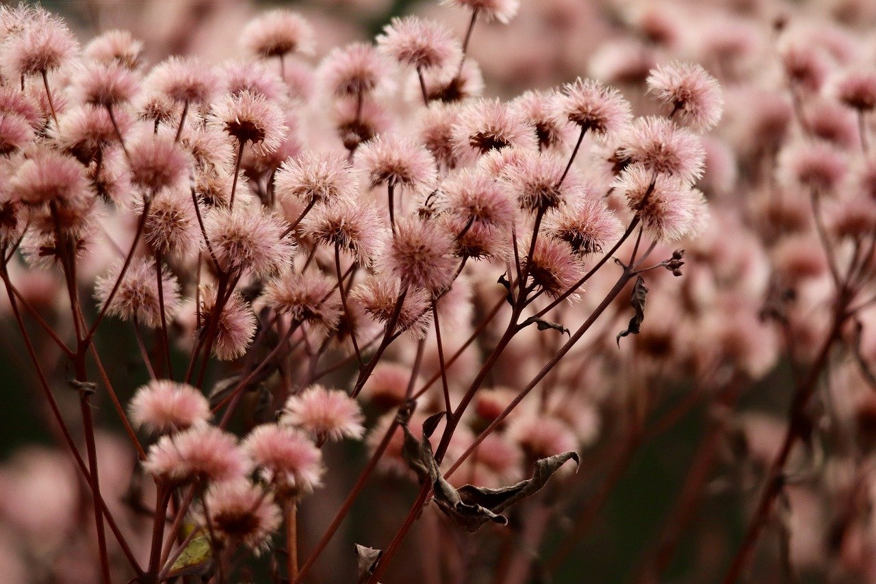 二号站企业营销中的广告策略：品牌营销广告VS促销广告 