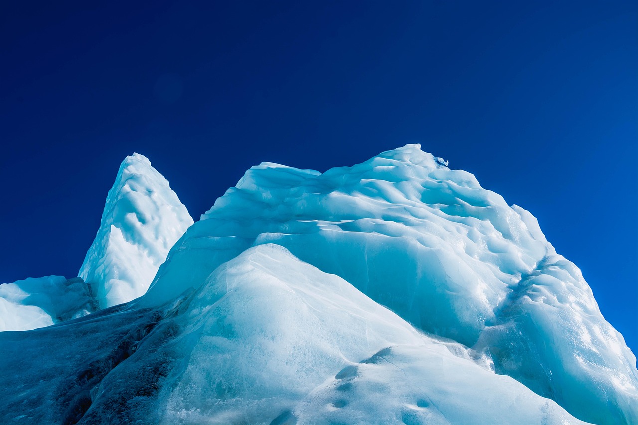 0月租流量卡：漳州亚马逊平台如何做代理