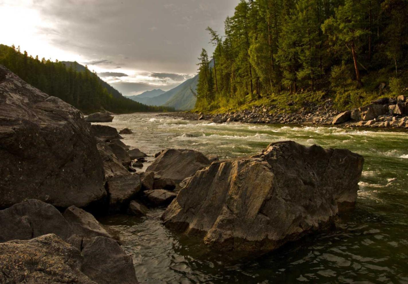 豪利时葡萄双爆珠（细）：优减诚招代理平台